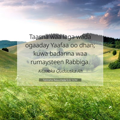 Picture 07 - Falimaha Rasuullada 9:42 SOM - Taasna waa laga wada ogaaday Yaafaa oo dhan; kuwa - Bible Verse Picture