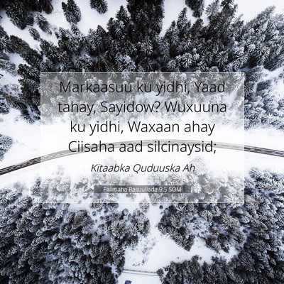 Picture 07 - Falimaha Rasuullada 9:5 SOM - Markaasuu ku yidhi, Yaad tahay, Sayidow? Wuxuuna - Bible Verse Picture