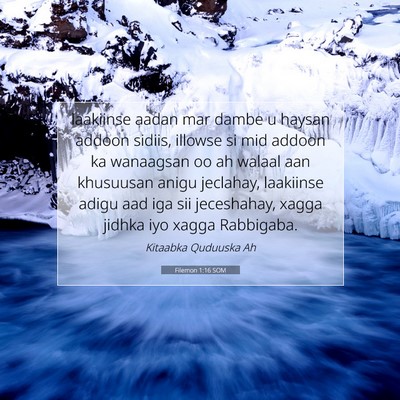 Picture 07 - Filemon 1:16 SOM - laakiinse aadan mar dambe u haysan addoon sidiis, - Bible Verse Picture
