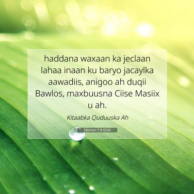 Picture 07 - Filemon 1:9 SOM - haddana waxaan ka jeclaan lahaa inaan ku baryo - Bible Verse Picture