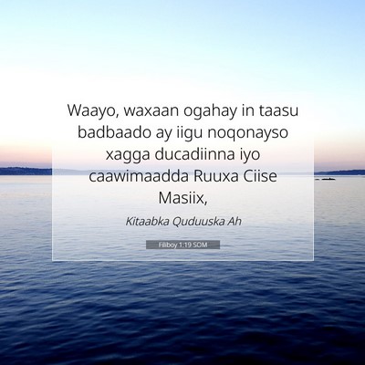 Picture 07 - Filiboy 1:19 SOM - Waayo, waxaan ogahay in taasu badbaado ay iigu - Bible Verse Picture