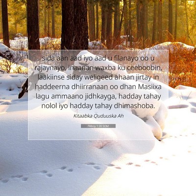 Picture 07 - Filiboy 1:20 SOM - sida aan aad iyo aad u filanayo oo u rajaynayo, - Bible Verse Picture