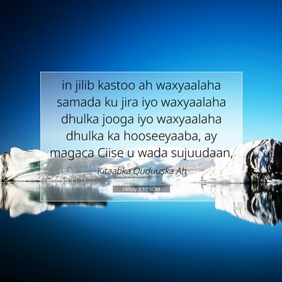 Picture 07 - Filiboy 2:10 SOM - in jilib kastoo ah waxyaalaha samada ku jira iyo - Bible Verse Picture