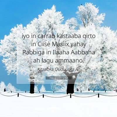 Picture 07 - Filiboy 2:11 SOM - iyo in carrab kastaaba qirto in Ciise Masiix - Bible Verse Picture