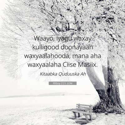 Picture 07 - Filiboy 2:21 SOM - Waayo, iyagu waxay kulligood doonayaan - Bible Verse Picture