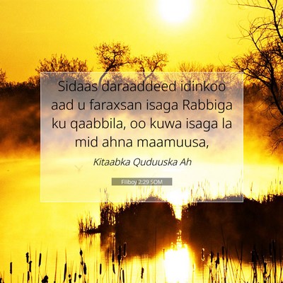 Picture 07 - Filiboy 2:29 SOM - Sidaas daraaddeed idinkoo aad u faraxsan isaga - Bible Verse Picture