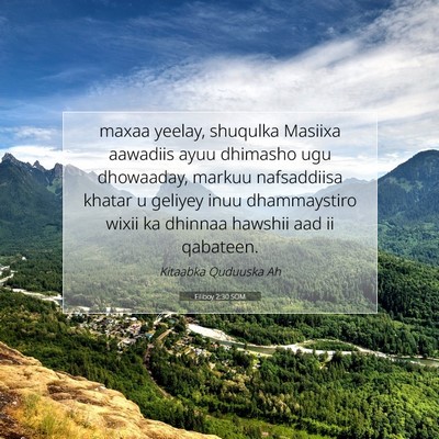 Picture 07 - Filiboy 2:30 SOM - maxaa yeelay, shuqulka Masiixa aawadiis ayuu - Bible Verse Picture