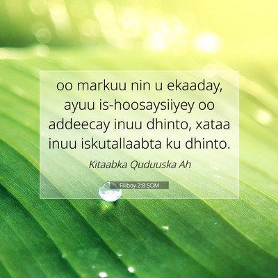 Picture 07 - Filiboy 2:8 SOM - oo markuu nin u ekaaday, ayuu is-hoosaysiiyey oo - Bible Verse Picture