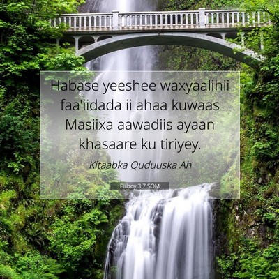 Picture 07 - Filiboy 3:7 SOM - Habase yeeshee waxyaalihii faa'iidada ii ahaa - Bible Verse Picture