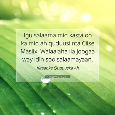 Picture 07 - Filiboy 4:21 SOM - Igu salaama mid kasta oo ka mid ah quduusiinta - Bible Verse Picture