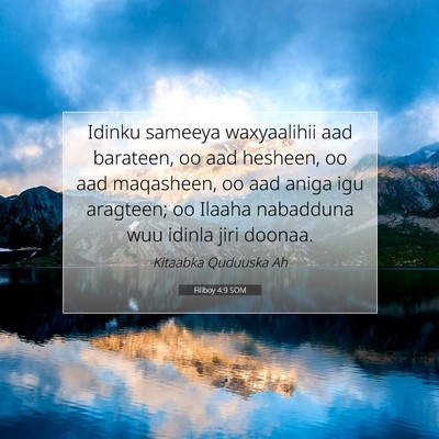 Picture 07 - Filiboy 4:9 SOM - Idinku sameeya waxyaalihii aad barateen, oo aad - Bible Verse Picture