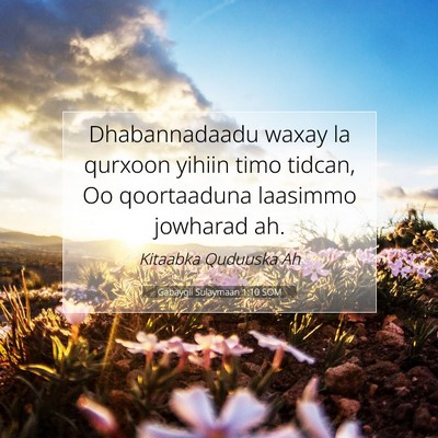 Picture 07 - Gabaygii Sulaymaan 1:10 SOM - Dhabannadaadu waxay la qurxoon yihiin timo - Bible Verse Picture