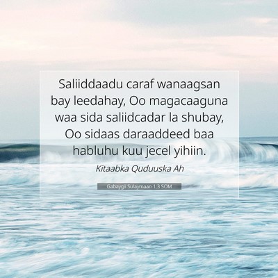 Picture 07 - Gabaygii Sulaymaan 1:3 SOM - Saliiddaadu caraf wanaagsan bay leedahay, Oo - Bible Verse Picture