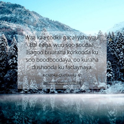 Picture 07 - Gabaygii Sulaymaan 2:8 SOM - Waa kaa codkii gacaliyahaygu! Bal eega, wuu soo - Bible Verse Picture