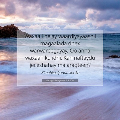 Picture 07 - Gabaygii Sulaymaan 3:3 SOM - Waxaa i helay waardiyayaashii magaalada dhex - Bible Verse Picture