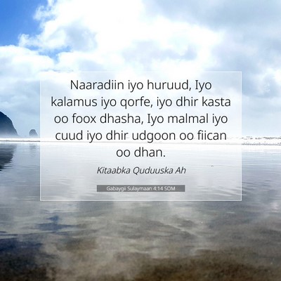Picture 07 - Gabaygii Sulaymaan 4:14 SOM - Naaradiin iyo huruud, Iyo kalamus iyo qorfe, iyo - Bible Verse Picture