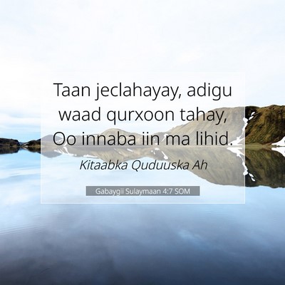 Picture 07 - Gabaygii Sulaymaan 4:7 SOM - Taan jeclahayay, adigu waad qurxoon tahay, Oo - Bible Verse Picture