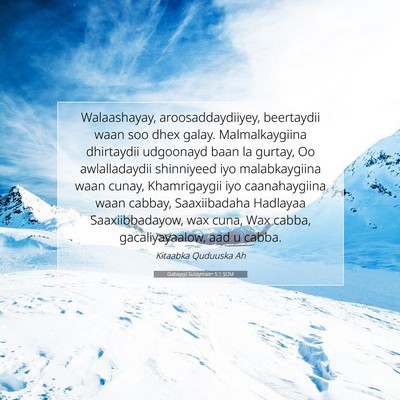 Picture 07 - Gabaygii Sulaymaan 5:1 SOM - Walaashayay, aroosaddaydiiyey, beertaydii waan - Bible Verse Picture