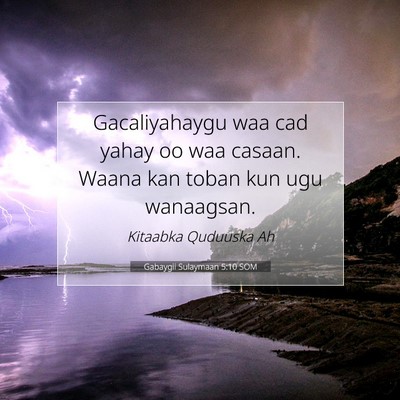 Picture 07 - Gabaygii Sulaymaan 5:10 SOM - Gacaliyahaygu waa cad yahay oo waa casaan. Waana - Bible Verse Picture