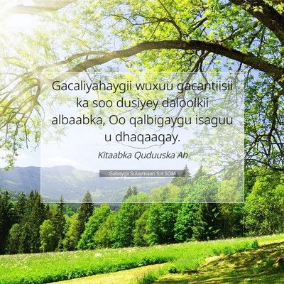 Picture 07 - Gabaygii Sulaymaan 5:4 SOM - Gacaliyahaygii wuxuu gacantiisii ka soo dusiyey - Bible Verse Picture