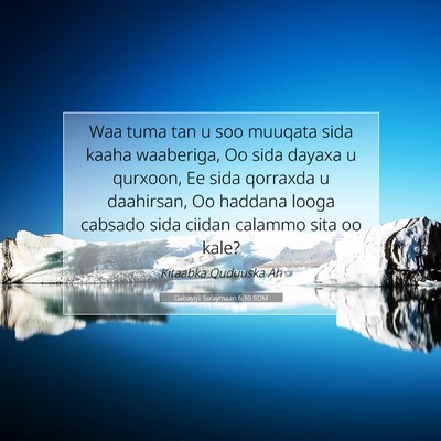 Picture 07 - Gabaygii Sulaymaan 6:10 SOM - Waa tuma tan u soo muuqata sida kaaha waaberiga, - Bible Verse Picture