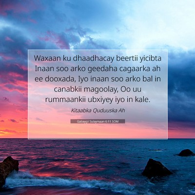Picture 07 - Gabaygii Sulaymaan 6:11 SOM - Waxaan ku dhaadhacay beertii yicibta Inaan soo - Bible Verse Picture