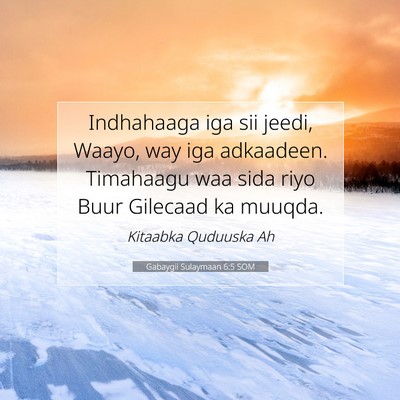 Picture 07 - Gabaygii Sulaymaan 6:5 SOM - Indhahaaga iga sii jeedi, Waayo, way iga - Bible Verse Picture
