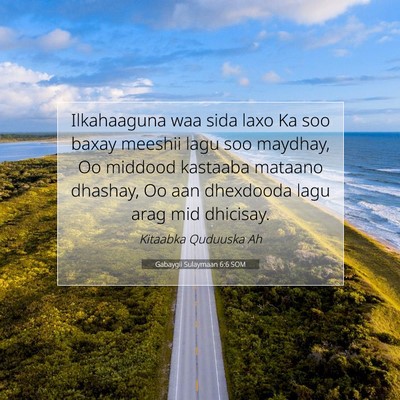 Picture 07 - Gabaygii Sulaymaan 6:6 SOM - Ilkahaaguna waa sida laxo Ka soo baxay meeshii - Bible Verse Picture