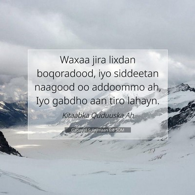 Picture 07 - Gabaygii Sulaymaan 6:8 SOM - Waxaa jira lixdan boqoradood, iyo siddeetan - Bible Verse Picture