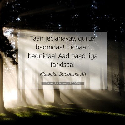 Picture 07 - Gabaygii Sulaymaan 7:6 SOM - Taan jeclahayay, qurux badnidaa! Fiicnaan - Bible Verse Picture