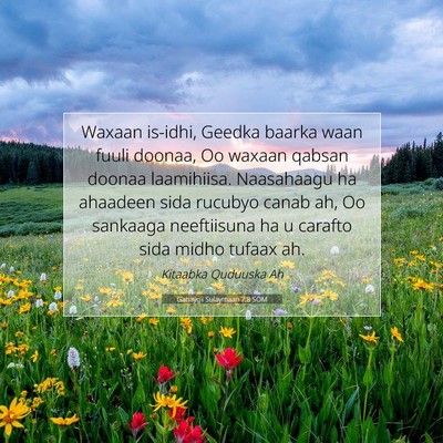 Picture 07 - Gabaygii Sulaymaan 7:8 SOM - Waxaan is-idhi, Geedka baarka waan fuuli doonaa, - Bible Verse Picture