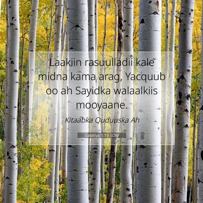 Picture 07 - Galatiya 1:19 SOM - Laakiin rasuulladii kale midna kama arag, Yacquub - Bible Verse Picture