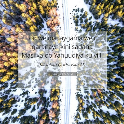 Picture 07 - Galatiya 1:22 SOM - oo weliba laygama weji garanayn kiniisadaha - Bible Verse Picture
