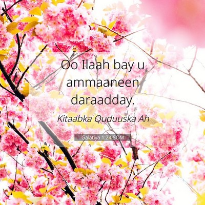 Picture 07 - Galatiya 1:24 SOM - Oo Ilaah bay u ammaaneen - Bible Verse Picture