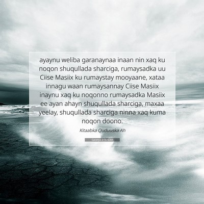 Picture 07 - Galatiya 2:16 SOM - ayaynu weliba garanaynaa inaan nin xaq ku noqon - Bible Verse Picture