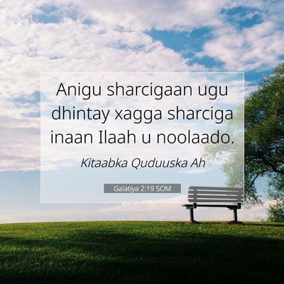 Picture 07 - Galatiya 2:19 SOM - Anigu sharcigaan ugu dhintay xagga sharciga inaan - Bible Verse Picture