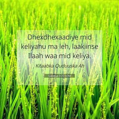 Picture 07 - Galatiya 3:20 SOM - Dhexdhexaadiye mid keliyahu ma leh, laakiinse - Bible Verse Picture