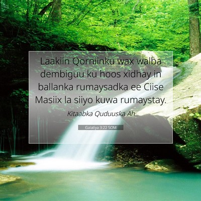 Picture 07 - Galatiya 3:22 SOM - Laakiin Qorniinku wax walba dembiguu ku hoos - Bible Verse Picture