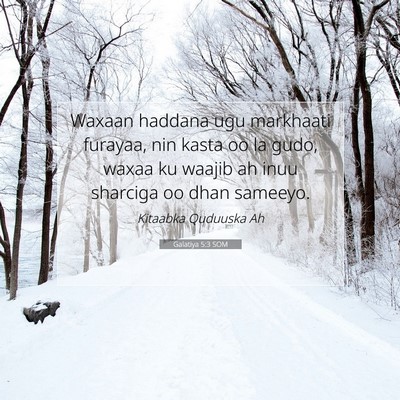 Picture 07 - Galatiya 5:3 SOM - Waxaan haddana ugu markhaati furayaa, nin kasta - Bible Verse Picture