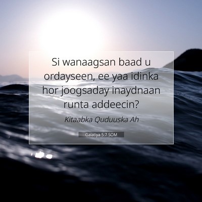 Picture 07 - Galatiya 5:7 SOM - Si wanaagsan baad u ordayseen, ee yaa idinka hor - Bible Verse Picture