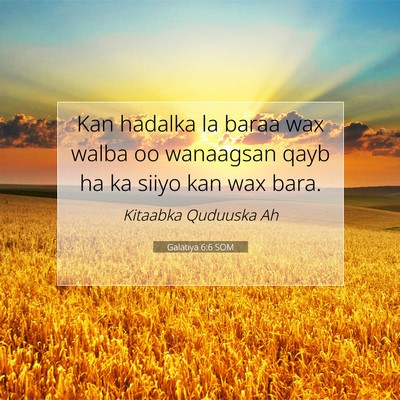 Picture 07 - Galatiya 6:6 SOM - Kan hadalka la baraa wax walba oo wanaagsan qayb - Bible Verse Picture