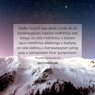 Picture 07 - Hoosheeca 10:1 SOM - Dadka Israa'iil waa geed canab ah oo - Bible Verse Picture