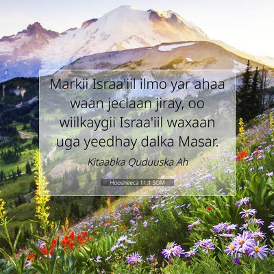 Picture 07 - Hoosheeca 11:1 SOM - Markii Israa'iil ilmo yar ahaa waan jeclaan - Bible Verse Picture