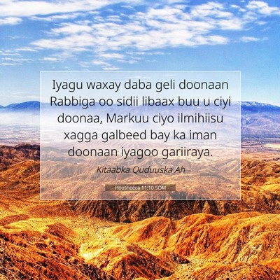 Picture 07 - Hoosheeca 11:10 SOM - Iyagu waxay daba geli doonaan Rabbiga oo sidii - Bible Verse Picture