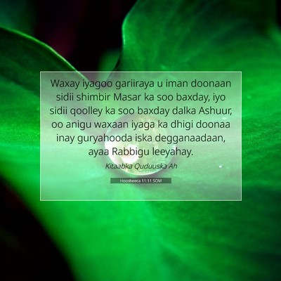 Picture 07 - Hoosheeca 11:11 SOM - Waxay iyagoo gariiraya u iman doonaan sidii - Bible Verse Picture