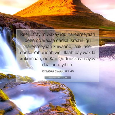 Picture 07 - Hoosheeca 11:12 SOM - Reer Efrayim waxay igu hareereeyaan been oo waxaa - Bible Verse Picture