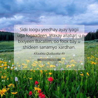Picture 07 - Hoosheeca 11:2 SOM - Sidii loogu yeedhay ayay iyagii uga fogaadeen. - Bible Verse Picture