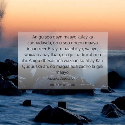 Picture 07 - Hoosheeca 11:9 SOM - Anigu soo dayn maayo kulaylka cadhadayda, oo u - Bible Verse Picture
