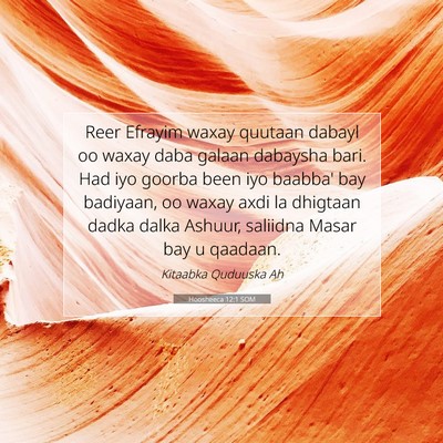 Picture 07 - Hoosheeca 12:1 SOM - Reer Efrayim waxay quutaan dabayl oo waxay daba - Bible Verse Picture