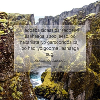 Picture 07 - Hoosheeca 12:6 SOM - Haddaba sidaas daraaddeed Ilaahaaga u soo jeeso, - Bible Verse Picture